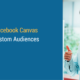 facebook canvas custom audiences