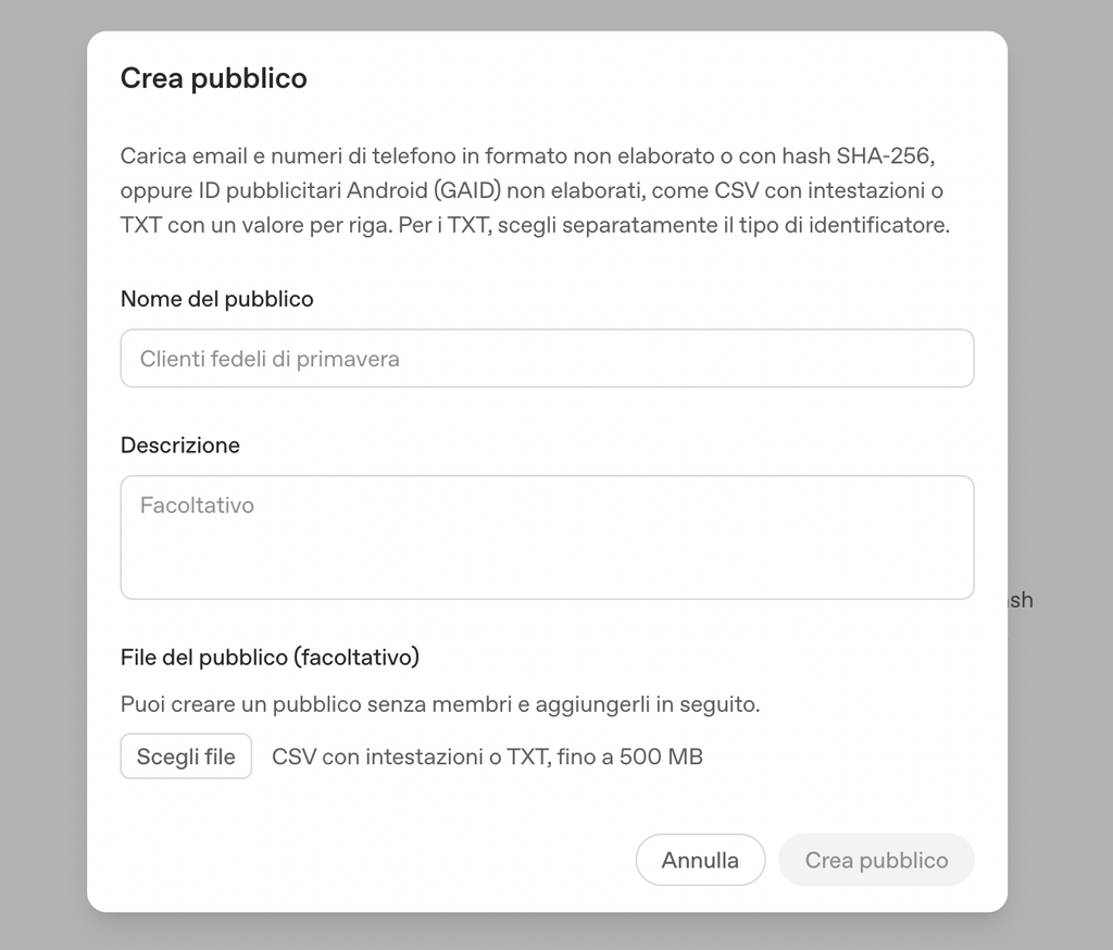 custom audience chatgpt pubblicità